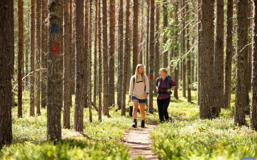 Miksi metsä, Kalevala, musiikki, taito ja yhteistyö?
